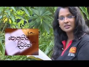 Wasuria, urulewa, iam sinhala, christina plant. POTHAKIN PITUWAK .01_ Guru Geethaya [ Life + News = ITN ...