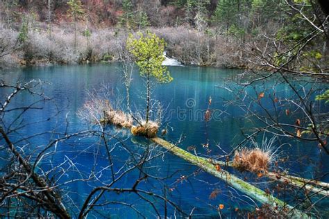 Lake At Jiuzhaigou With Colorful Tress And Blue Water Stock Photo