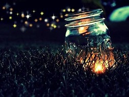 Image result for jar of fireflies