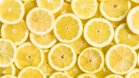 26 Interesting Facts About Lemons