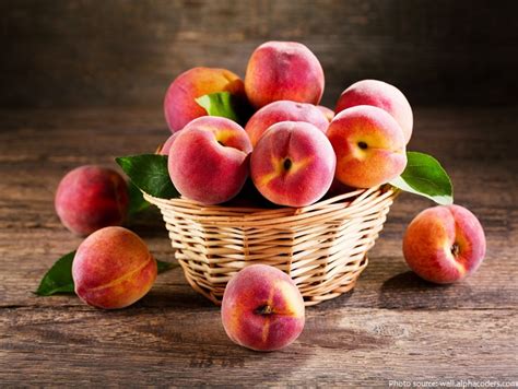 Interesting Facts About Peaches Just Fun Facts