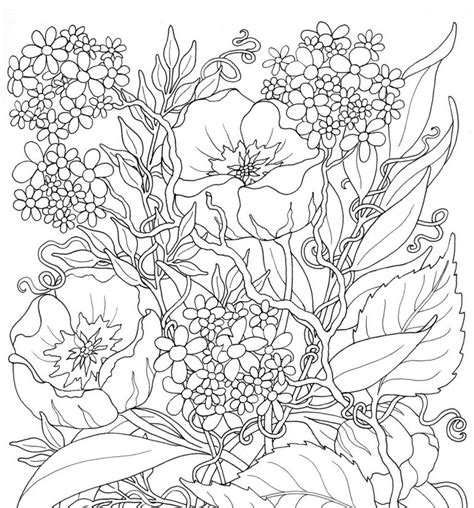 Summer Flowers Coloring Pages At Free Printable