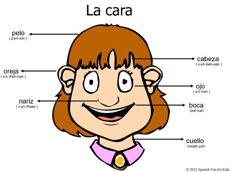 Music And Spanish Fun Ideas For Teaching The Parts Of The Face