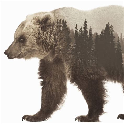 Bear Print Double Exposure Art Woodland Animal Art Bear Etsy