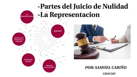 Partes Del Juicio De Nulidad La Representacion By Samuel Carino