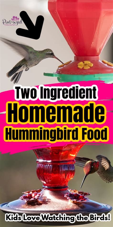 Homemade Hummingbird Food The Easiest Recipe · Pint Sized Treasures