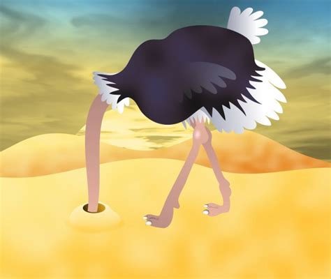 Ostrich Head In Sand Clip Art