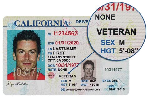 California Dmv Id Card California Drivers License Kiko Calderon Dmv