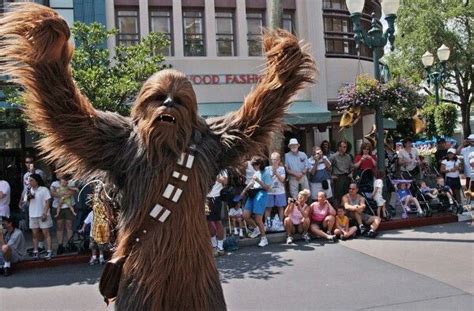 Star Wars Chewbacca Disney Insider Hollywood Studios Disney Disney