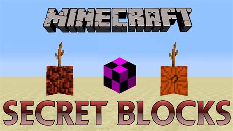 Minecraft 10 Secret Blocks Youtube