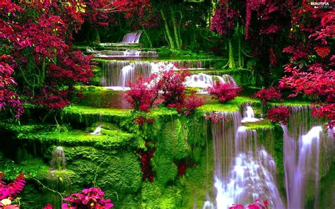 Waterfall Flowers Wallpapers Wallpaper Cave