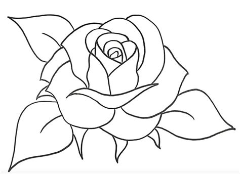 Como Desenhar Uma Rosa Simples Passo A Passo Desenhar Bonito