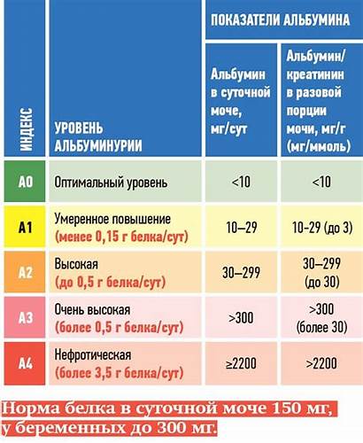 Хроническая болезнь почек: особенности диагностики + аудио Картинка - Хроническая болезнь почек: особенности диагностики + аудио