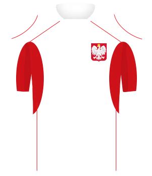 Karierę rozpoczynał w sezonie 1988/1989 występując w zespole hutnika kraków. Polska - USA 3:1, 14.06.2002