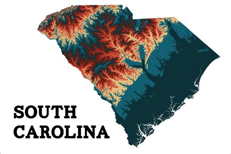 South Carolina Topography Every 100 Feet Artistic Interpretation Five