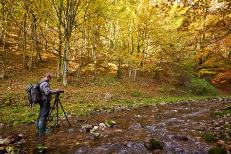 Professional Nature Photographer Stock Image Image Of Autumn