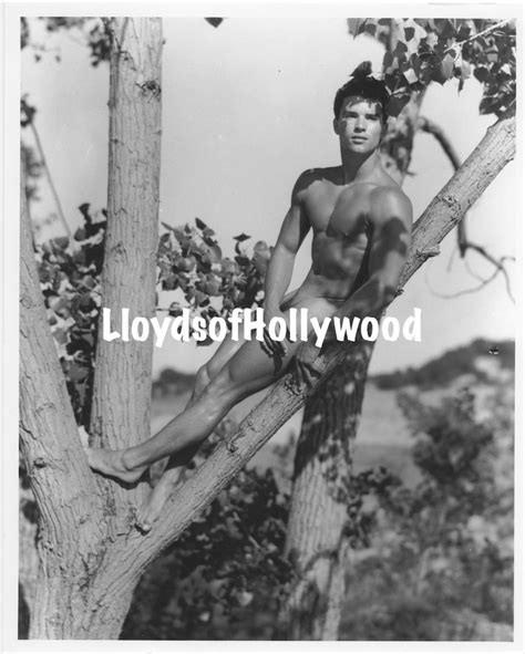 Glenn Bishop Physique Icon Male Nude In Tree Mid Century Oettinger
