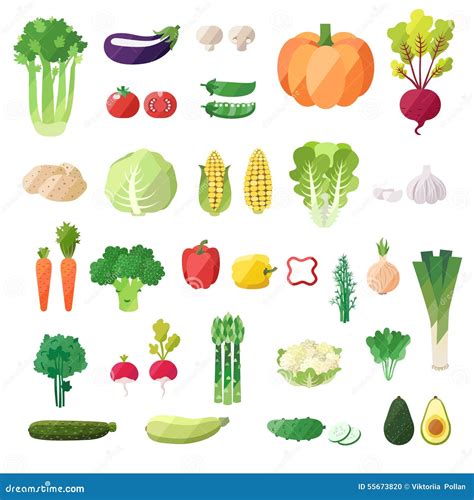 Vegetable Vector Set Modern Flat Design Objects Stock Vector Illustration Of Celery Fruit