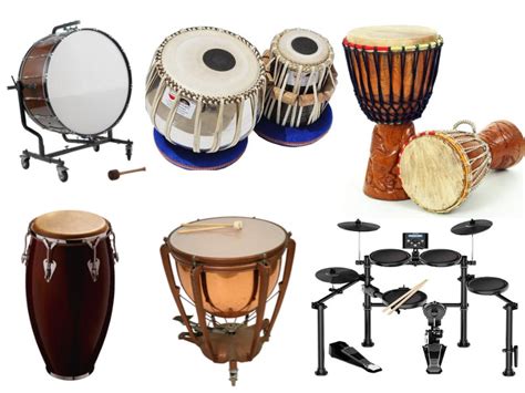 11 Different Types Of Drums Their Names And Exciting Facts