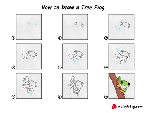 How To Draw A Tree Frog Helloartsy