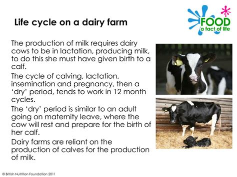 Ppt Dairy Farming Case Study Powerpoint Presentation Id731245