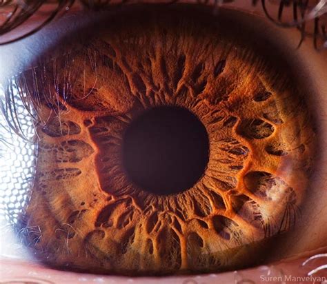 Breathtaking Close Ups Of The Human Eye Demilked