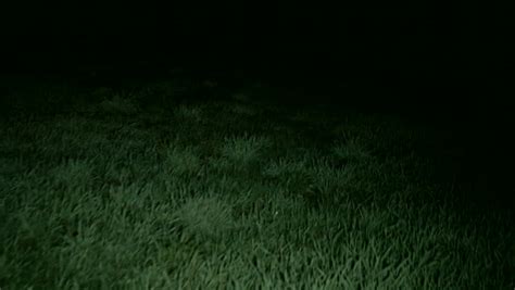 Walking Through Scary Grassy Field At Night Royalty Free Video