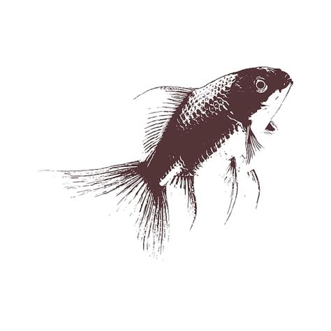 Premium Vector Fish Hand Drawn Sketch Vector Illustration