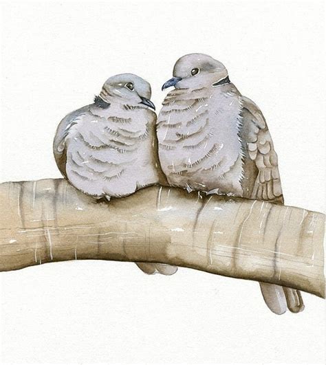 Items Similar To Pigeons Watercolor Art Print Open Edition Bird