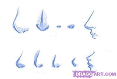How To Draw Anime Nose Female How I Draw Anime Characters Pic Flab
