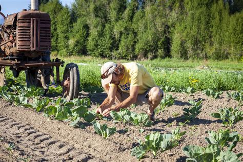 Circular Food Systems Buoy Washington Agriculture Reinvigorate Local Economies Cahnrs News