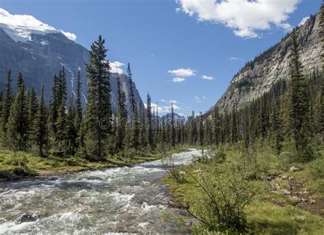 Hiking To Lake Annette In Banff National Park Passing Forests And