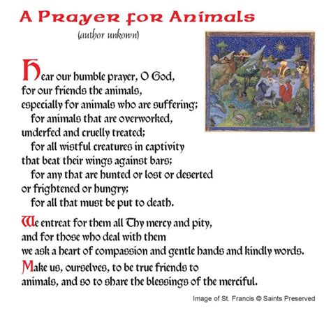 Loving prayers for your animal. St. Melangell's prayer circle
