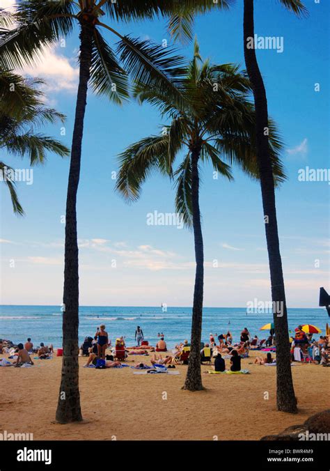 Sunbathing Waikiki Beach Honolulu Oahu Hi Res Stock Photography And