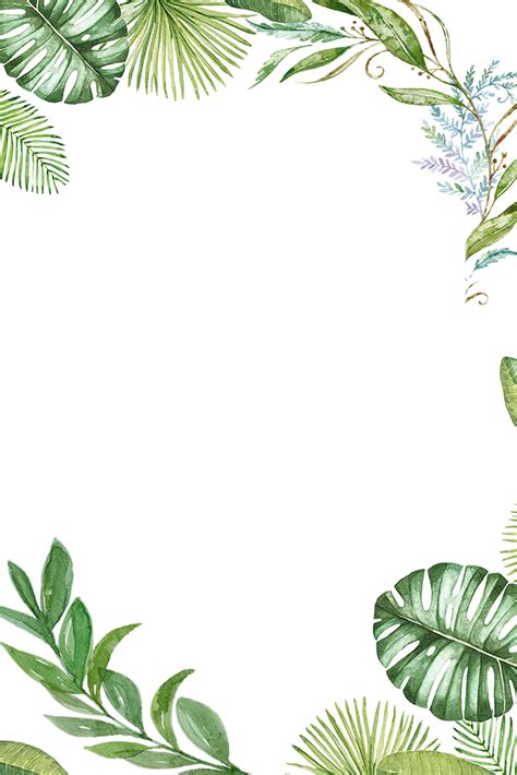Download Plants Tropical Jungle Leaves Tropical Leaves Frame Png Png