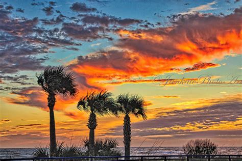 Pretty Ocean Sunrise With Palm Trees Metal Photo Print Beach Etsy