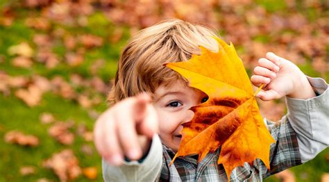 Profitez De L’arrivée De L’automne Pour Faire Des Activités En Famille En Forêt Bio à La Une