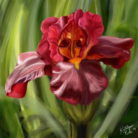 Red Iris Painting