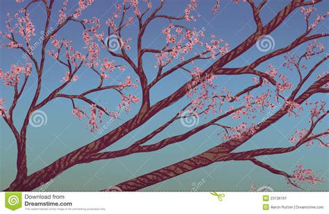 Cherry Blossom Branches Digital Painting Stock Image