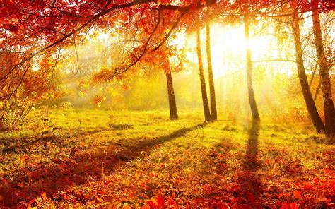 Autumn Sunrise Fallautumn Wallpapers Pinterest