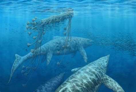 10 Terrifying Prehistoric Sea Monsters