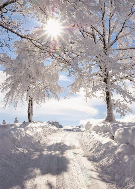 Onthe Snow Winterbilder Landschaftsbilder Natur