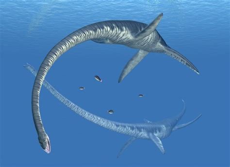 Enormous Reptile Similar To ‘loch Ness Monster Found In Antarctica