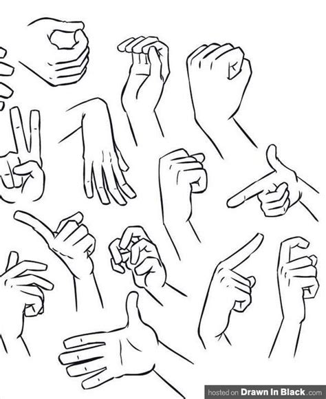 Picture Of The Various Positions Of Hands From How To