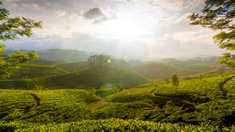 Maybe you would like to learn more about one of these? Munnar Hills Kerala India Wallpapers | HD Wallpapers | ID #14000