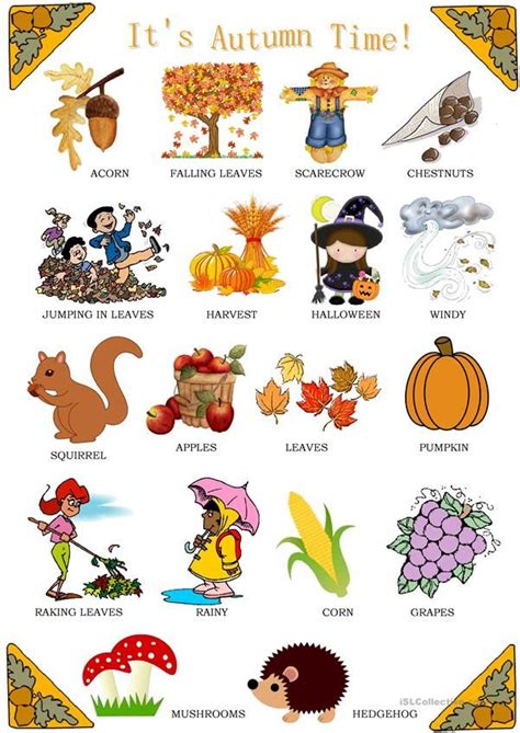 Its Autumn Time Learning English For Kids Flashcards For Kids