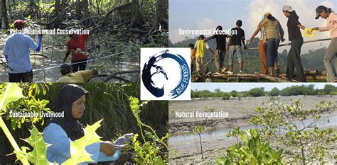 Celebrating Singapore Shores 3 Feb Sat Learn About Mangrove