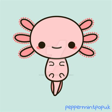 Kawai Axolotl By Peppermint Pop Uk On Deviantart