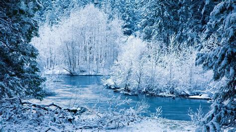 Amazing Landschaft Des Winters Hd Desktop Wallpaper Widescreen High