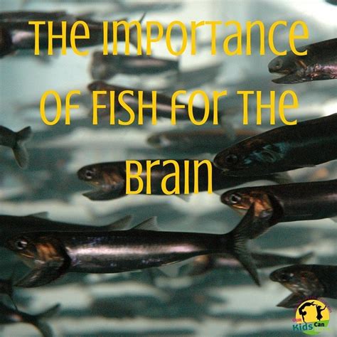 The Importance Of Fish For The Brain Bwhen It Comes To The Brain